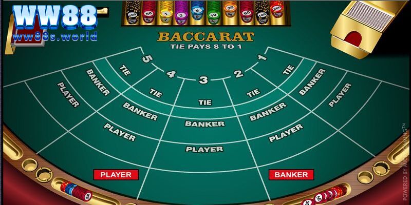 Baccarat WW88- Tựa Game Sieu hot 2024 4 Cách chơi Baccarat chi tiết