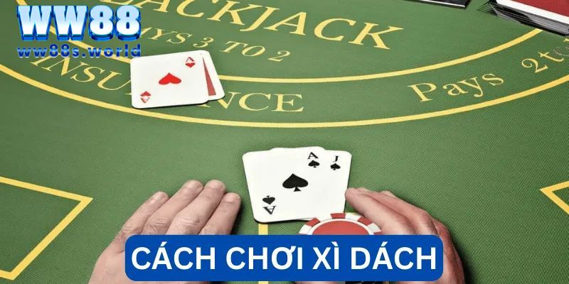 Xì Dách WW88- Từ A-Z Những Thông Tin Mà Người Mới Cần Biết 3 Những thuật ngữ chơi bài bạn cần nằm lòng