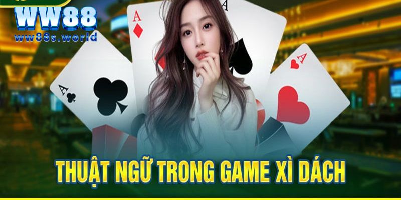 Xì Dách WW88- Từ A-Z Những Thông Tin Mà Người Mới Cần Biết 4 Cách chơi Xì dách không thể dễ hiểu hơn
