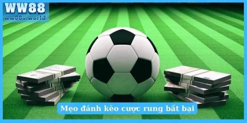 Hiểu Về Kèo Rung Tuyệt Chiêu Bắt Kèo Siêu Chuẩn 3 Mẹo đánh kèo cược rung bất bại